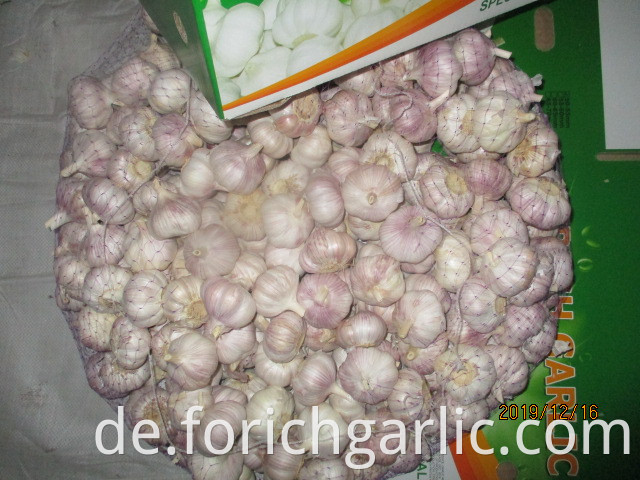 How To Preserve Fresh Garlic
